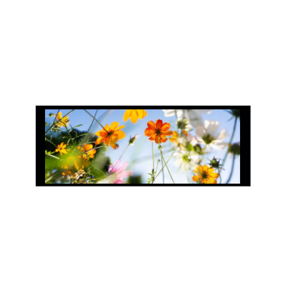 6.86 بوصة 480 × 1280 وحدة IPS TFT